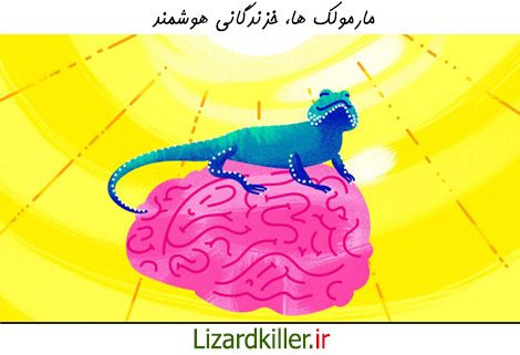 مارمولک ها بر خلاف ظاهرشان موجودات باهوشی هستند