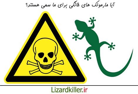آیا مارمولک های خانگی سمی هستند؟