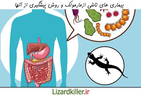بیماری های ناشی از مارمولک چه هستند؟